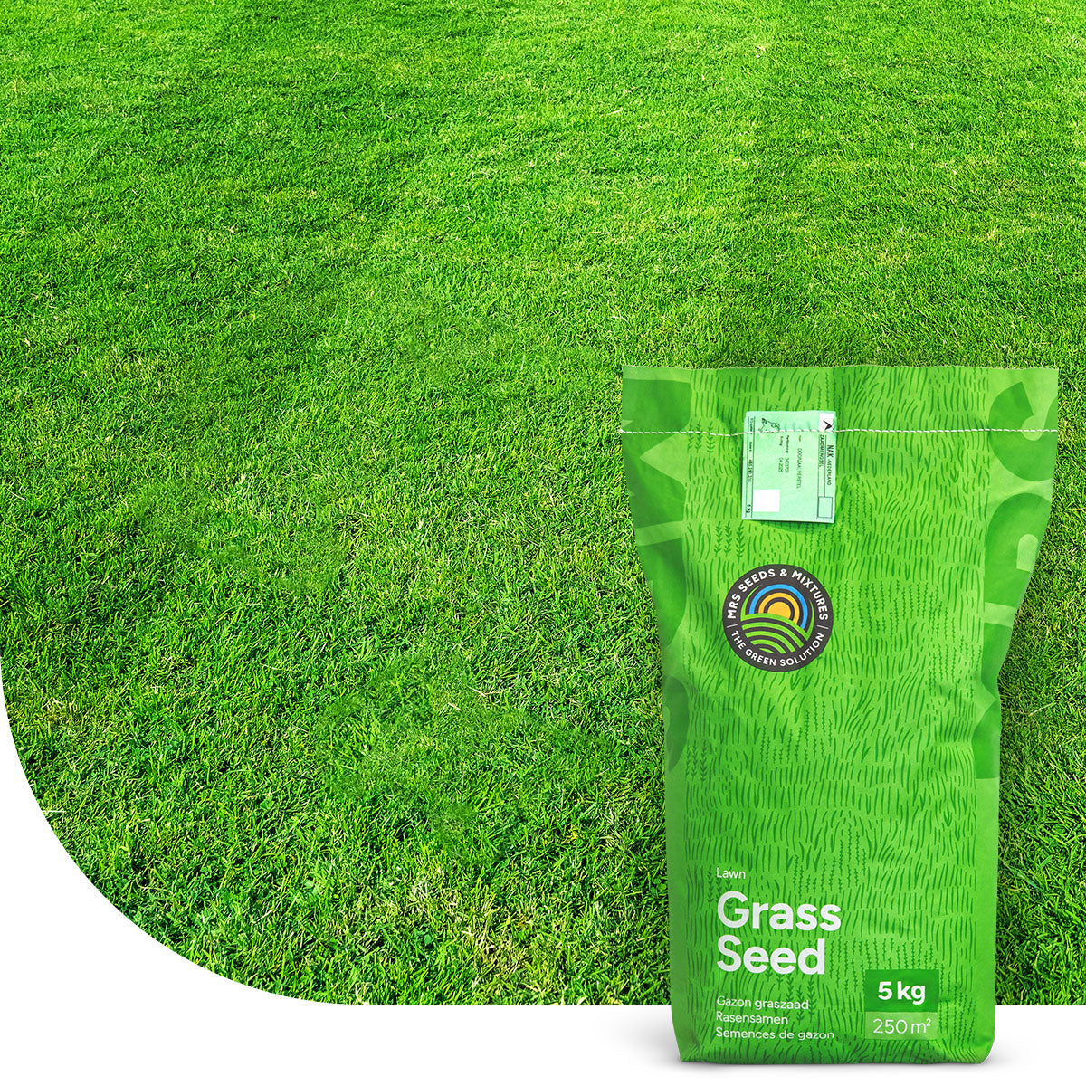 EasyMow - Grassamen | Pflegeleicht