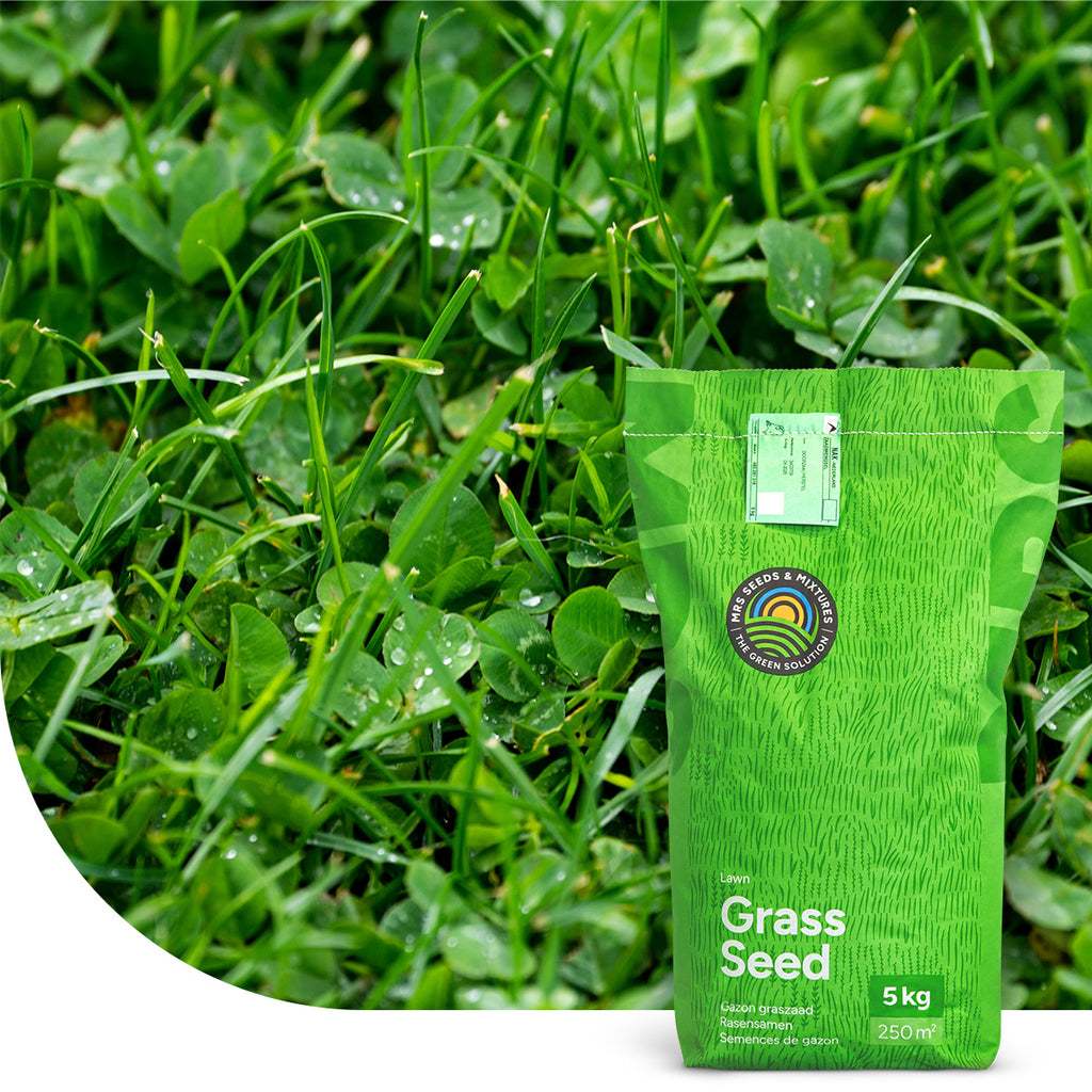 Clover Lawn - Grassamen mit Mikroklee
