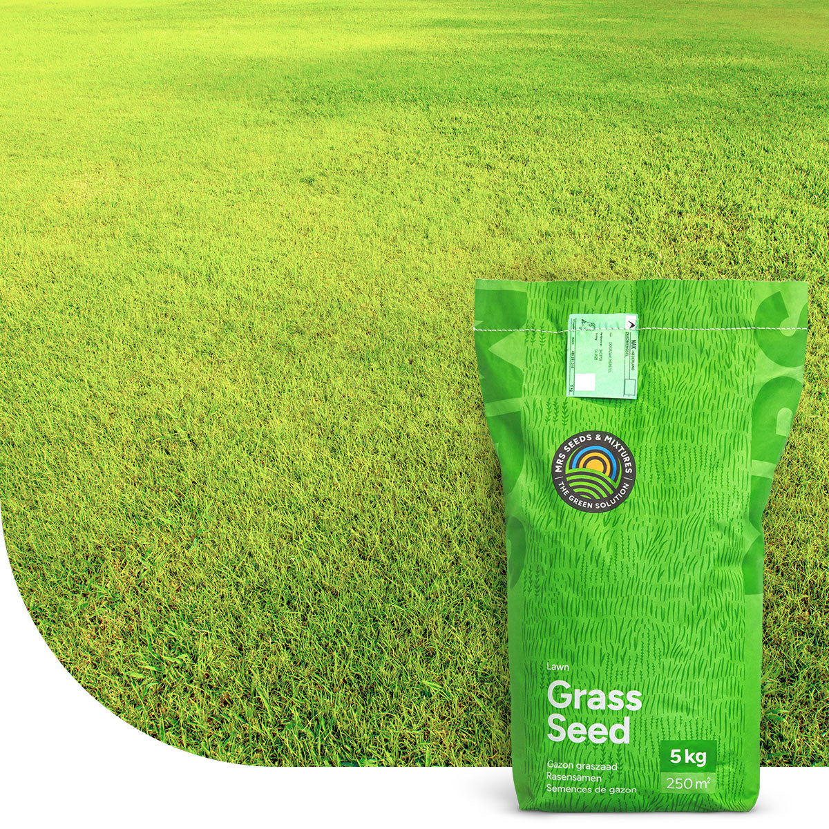 Dry & Strong - Trockenrasen