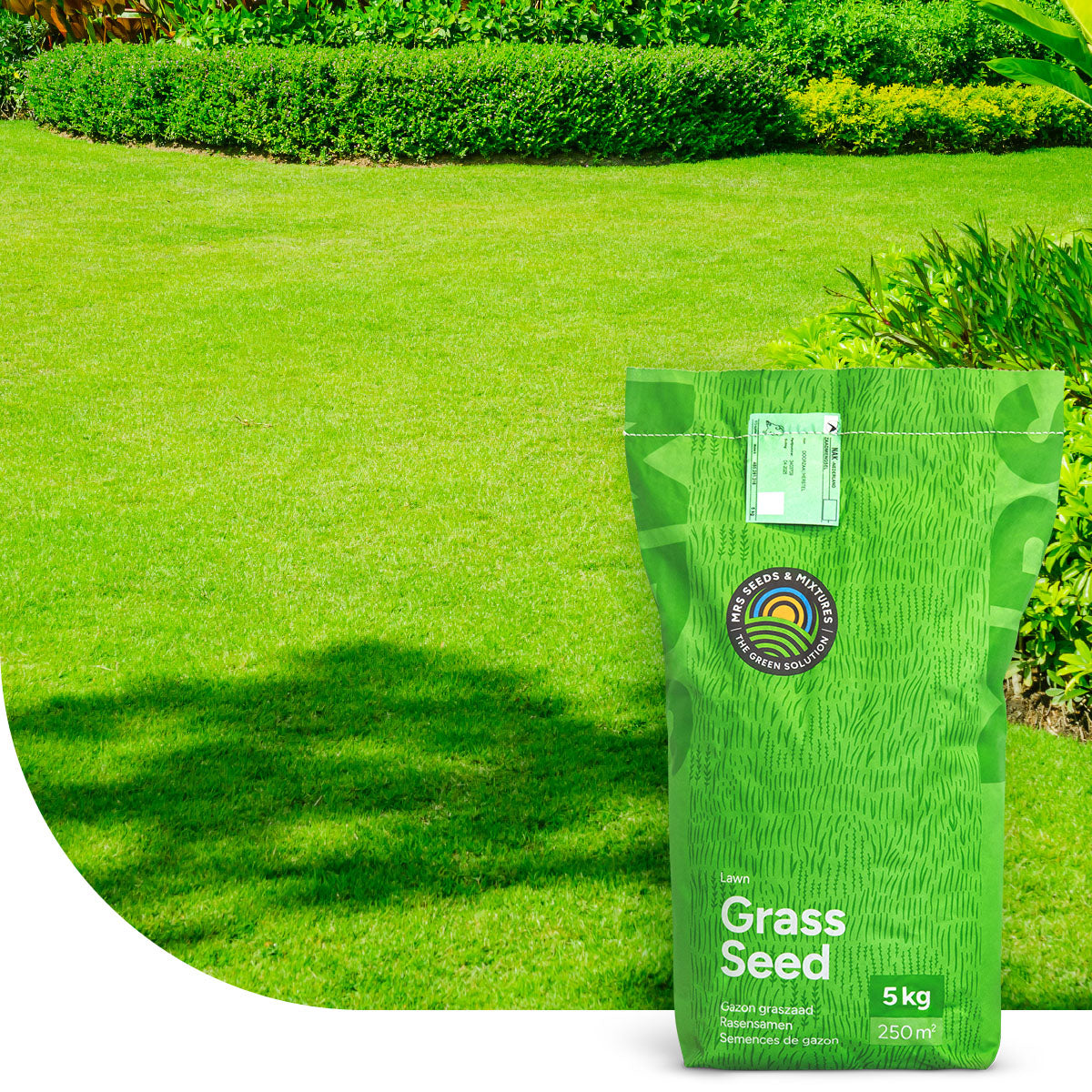 Green Perfection - Grassamen | Luxus-Zierrasen