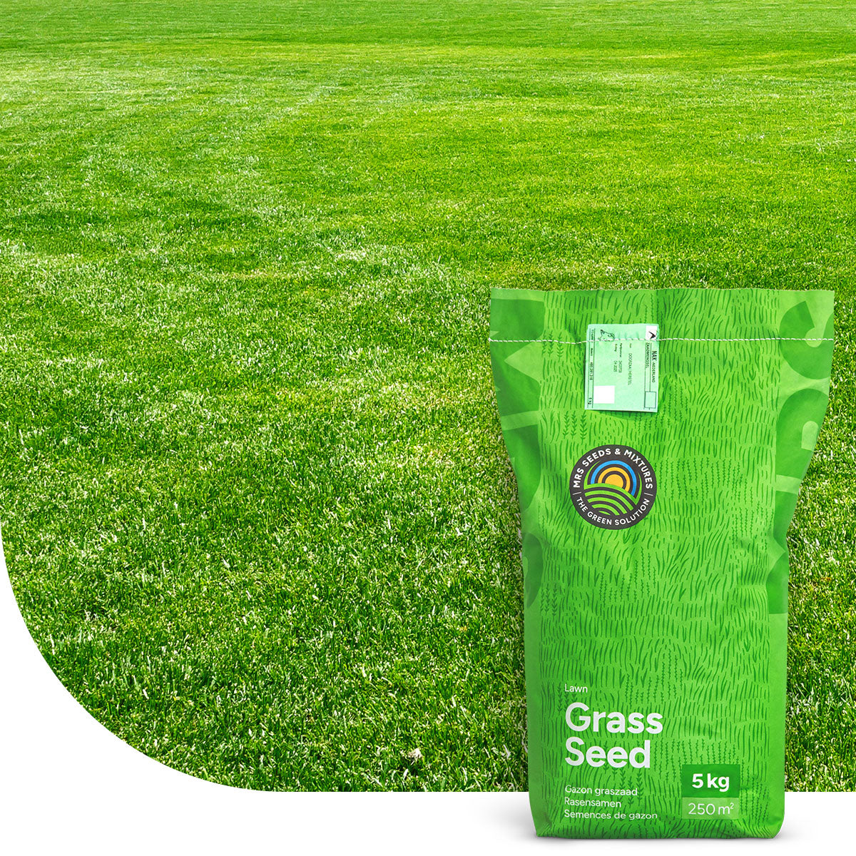 Fast Repair -  Nachsaat-Rasensamen