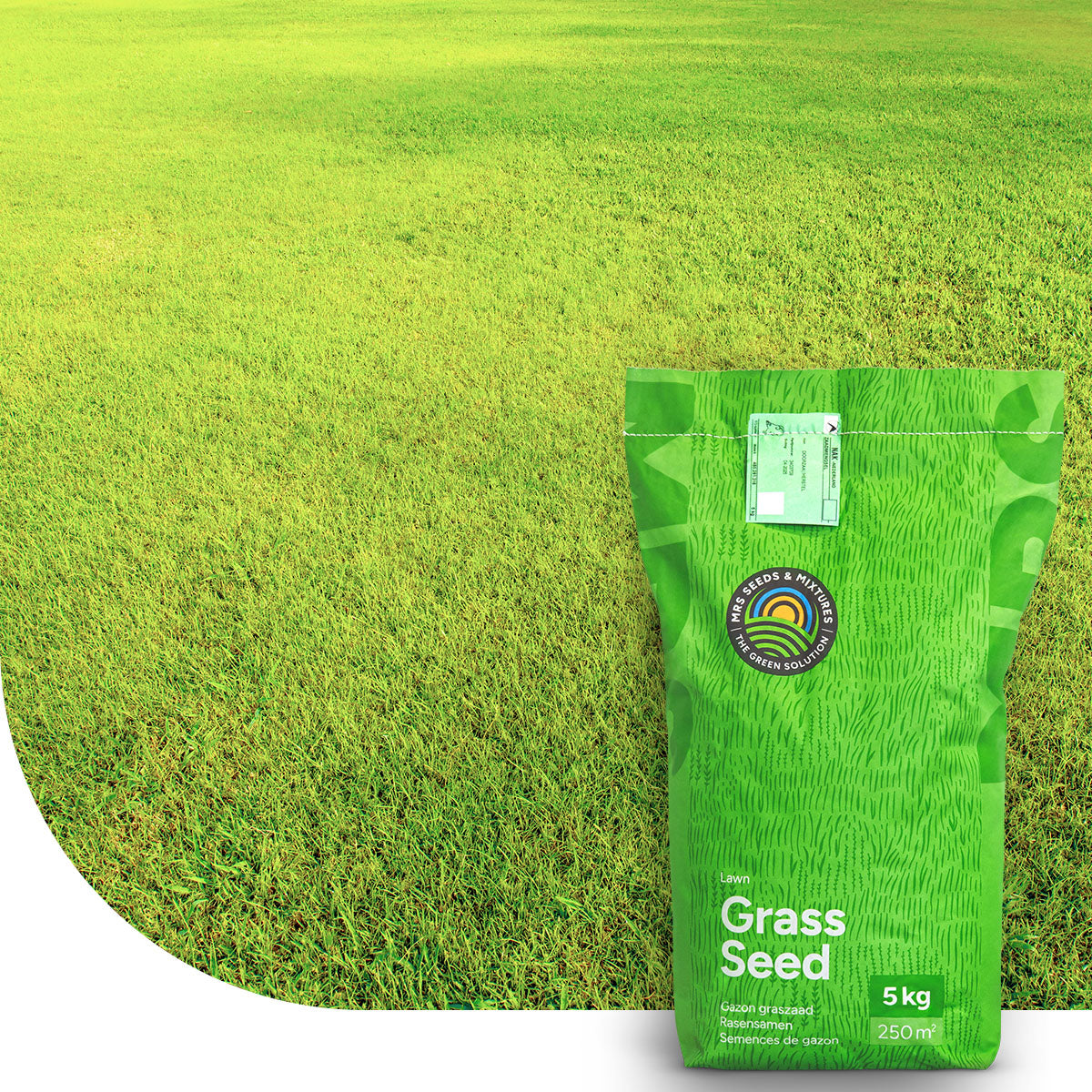 Dry & Strong - Trockenrasen