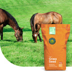 Horse – Low Fructan mix | Pferdeweide