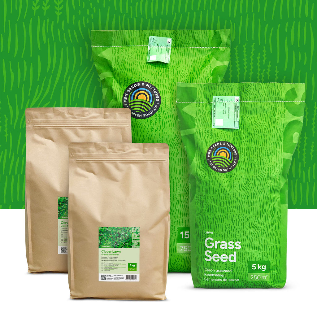 Clover Lawn - Grassamen mit Mikroklee