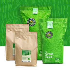 Clover Lawn – Grassamen mit Mikroklee