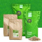 Turbo Green - Grassamen | Rasen Nachsaat