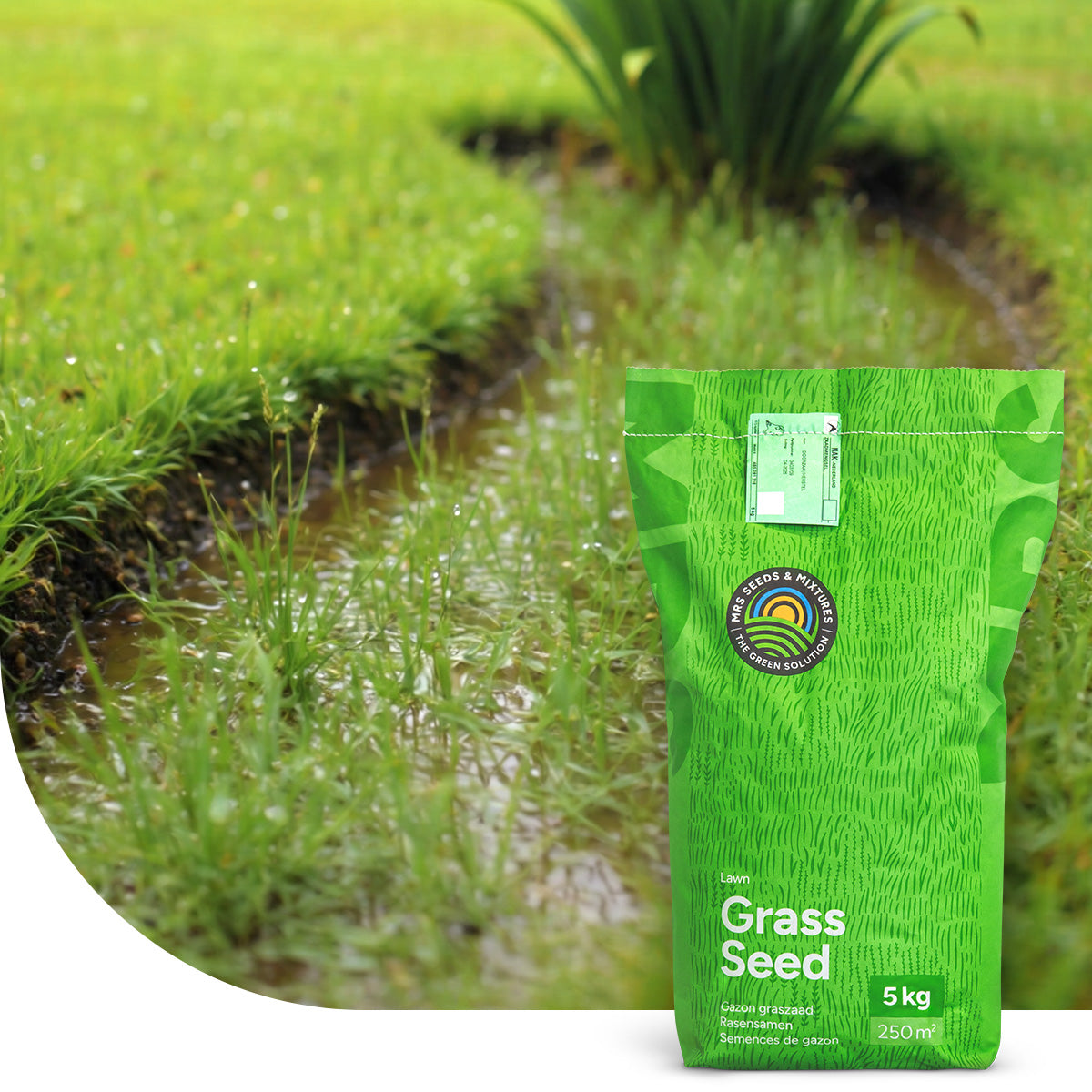 Wet & Strong - Landschaftsrasen/Feuchtlagen RSM 7.3