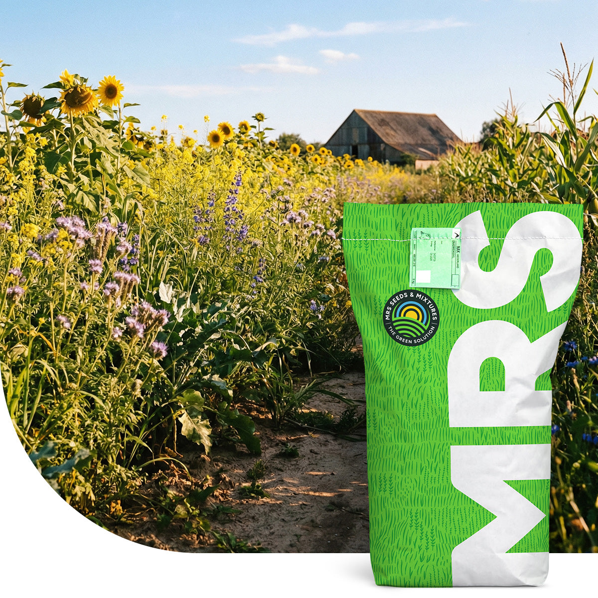 Wildackermischung für Flugwild - einjährig