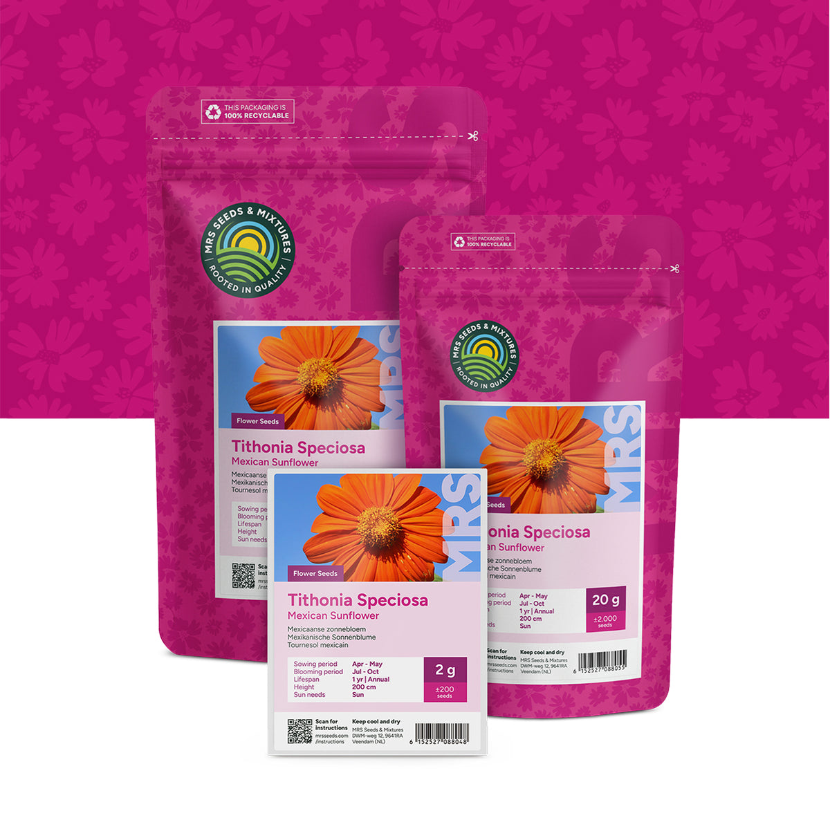 Mexikanische Sonnenblume – Tithonia speciosa