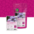 Leberbalsam – Ageratum houstonianum mix