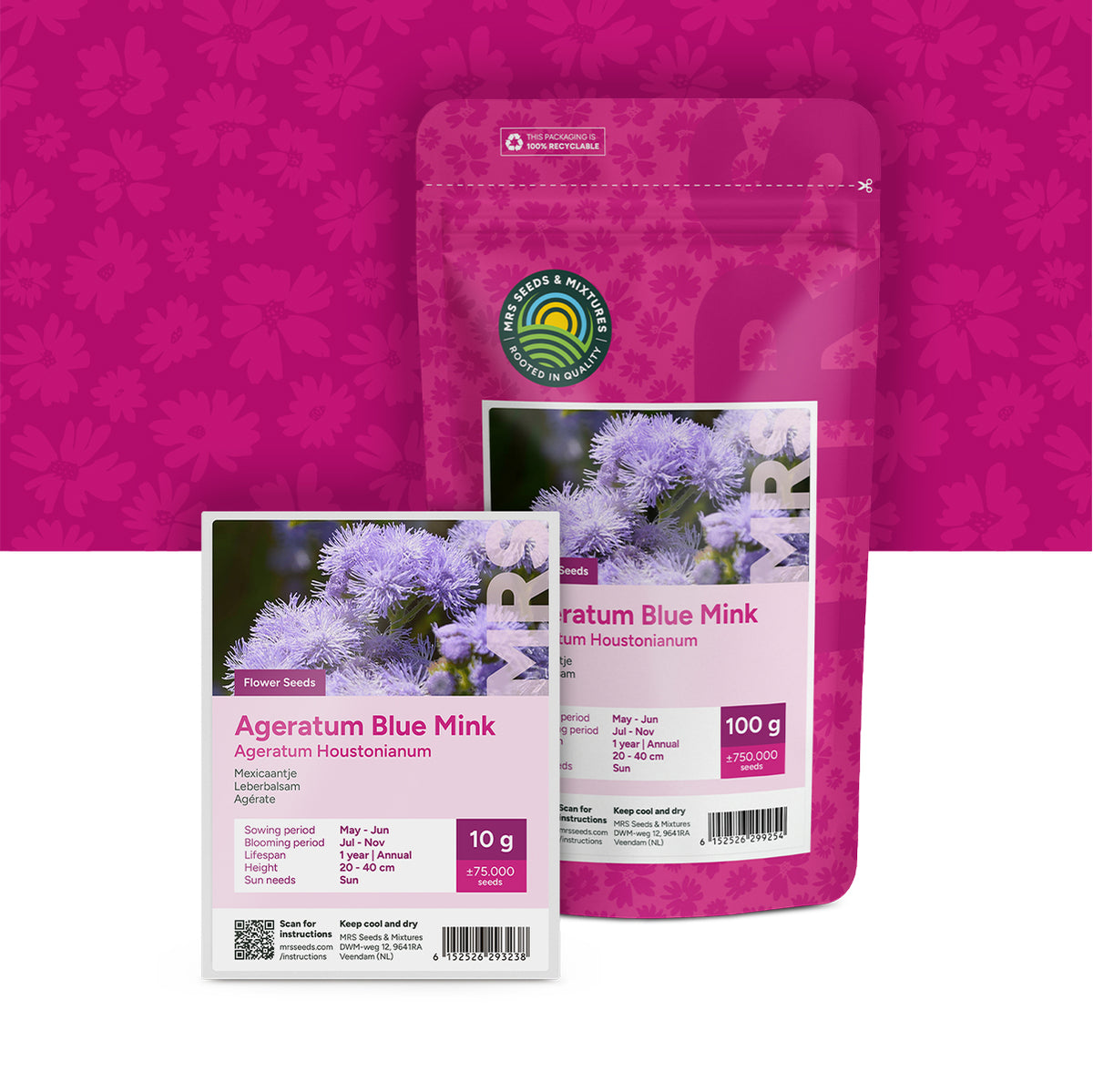 Leberbalsam – Ageratum houstonianum mix