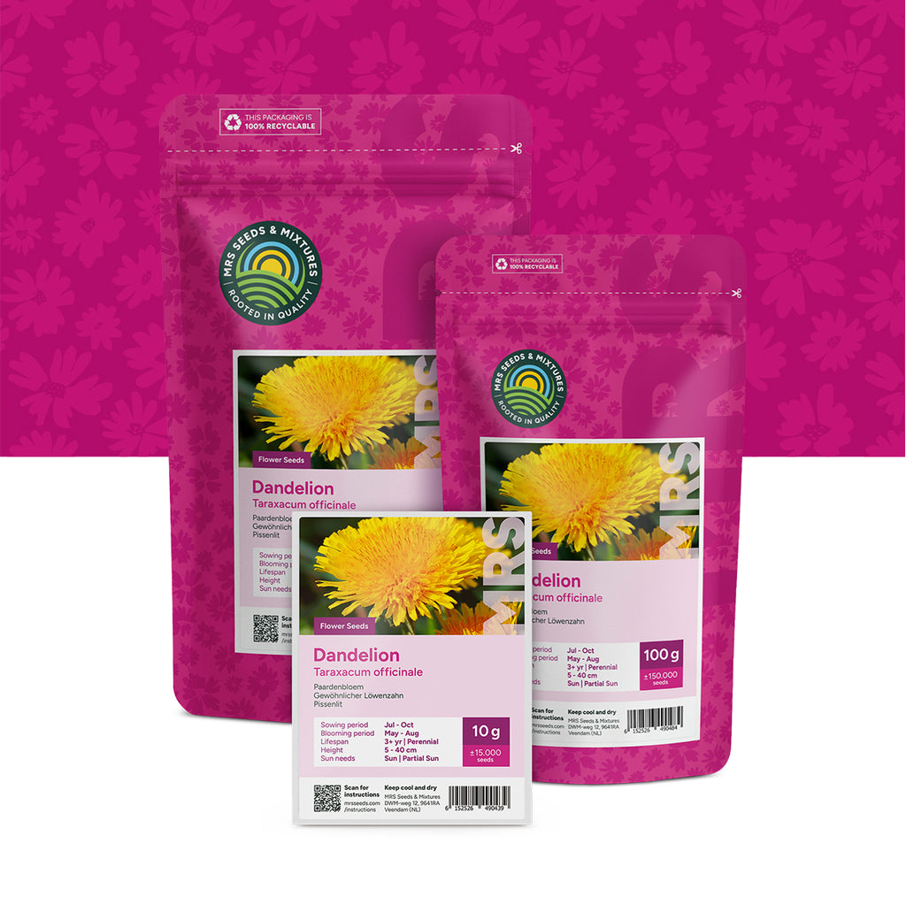 Gewöhnlicher Löwenzahn – Taraxacum officinale