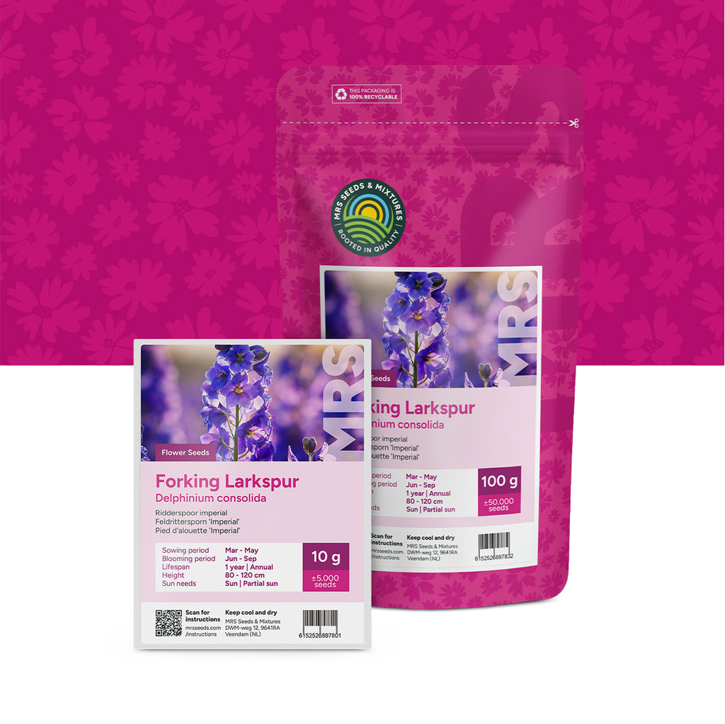 Feldrittersporn 'Imperial' – Delphinium consolida