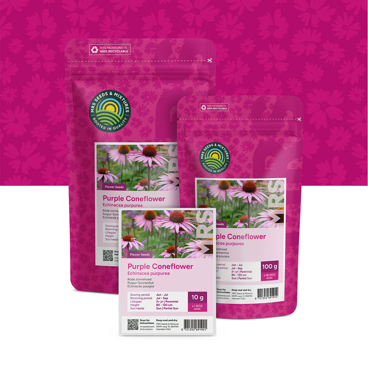 Purpur-Sonnenhut – Echinacea purpurea