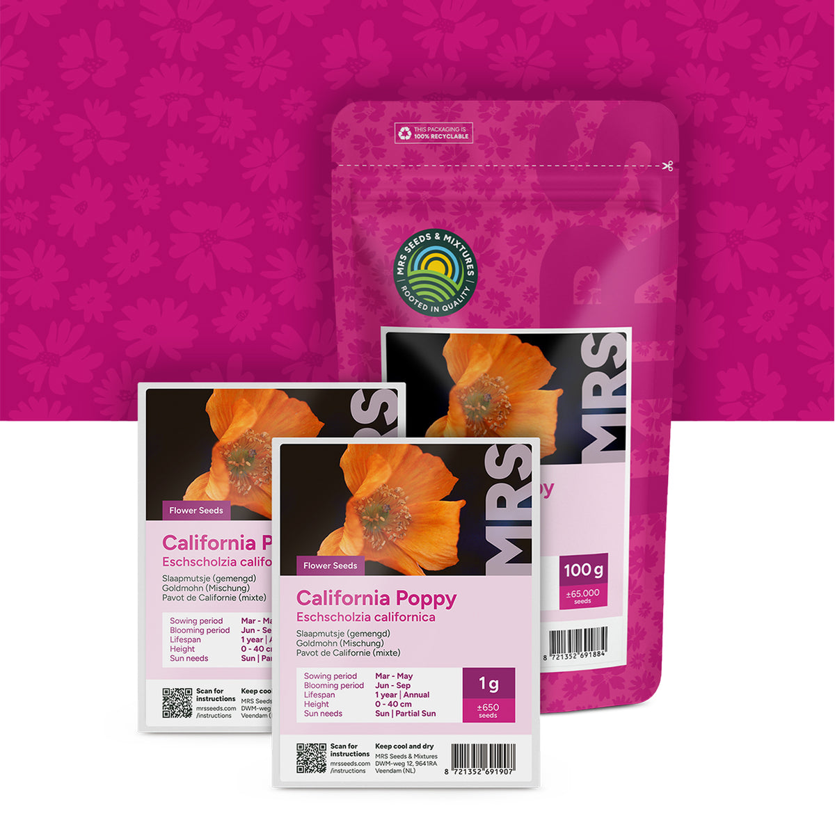 Goldmohn (mischung) – Eschscholzia californica