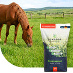 Pferdeweide - Niederigem Fruktangehalt