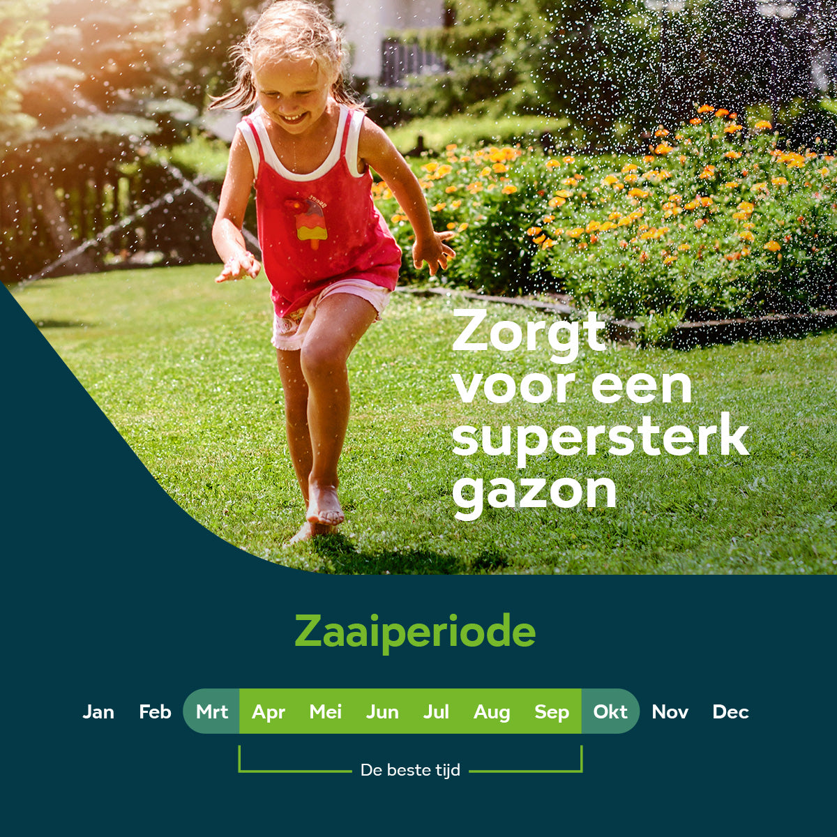 Sowgood Schaduw- en droogtebestendig graszaad 10 kg - 500 m² [nl]
