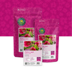 Trichtermalve – Malope trifida