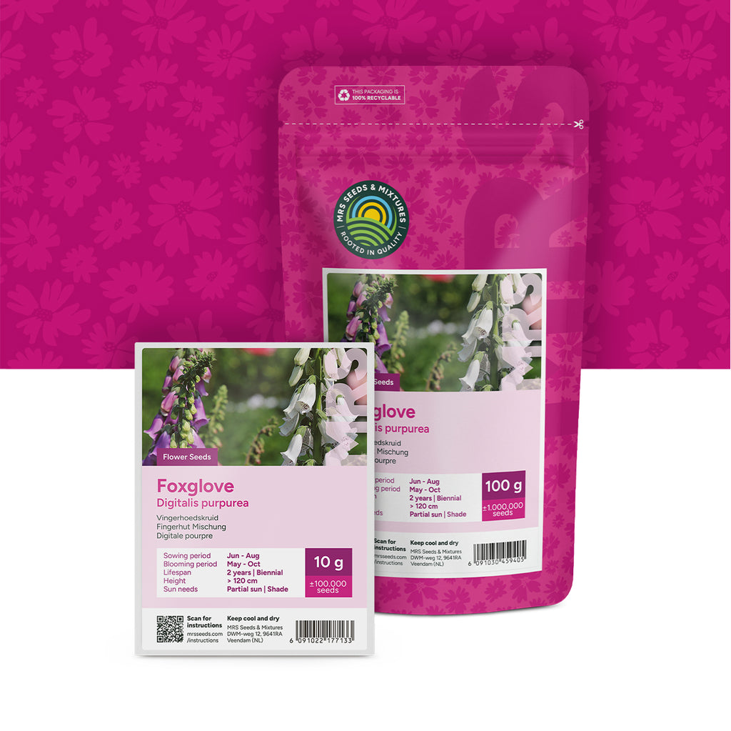 Fingerhut Mischung – Digitalis Purpurea
