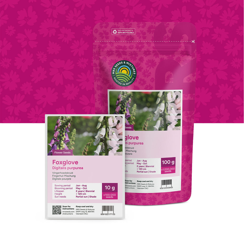 Fingerhut Mischung – Digitalis Purpurea
