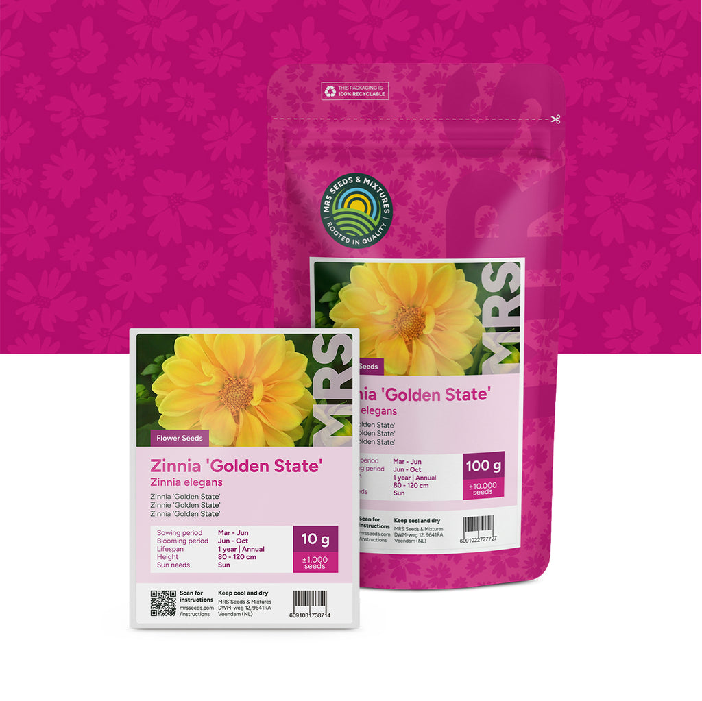 Zinnie –  Zinnia elegans 'Golden State'