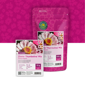 Zinnie 'Thumbelina' (gemischt) – Zinnia elegans
