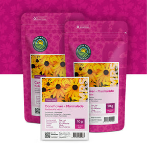 Rauer Sonnenhut 'Marmelade' – Rudbeckia hirta