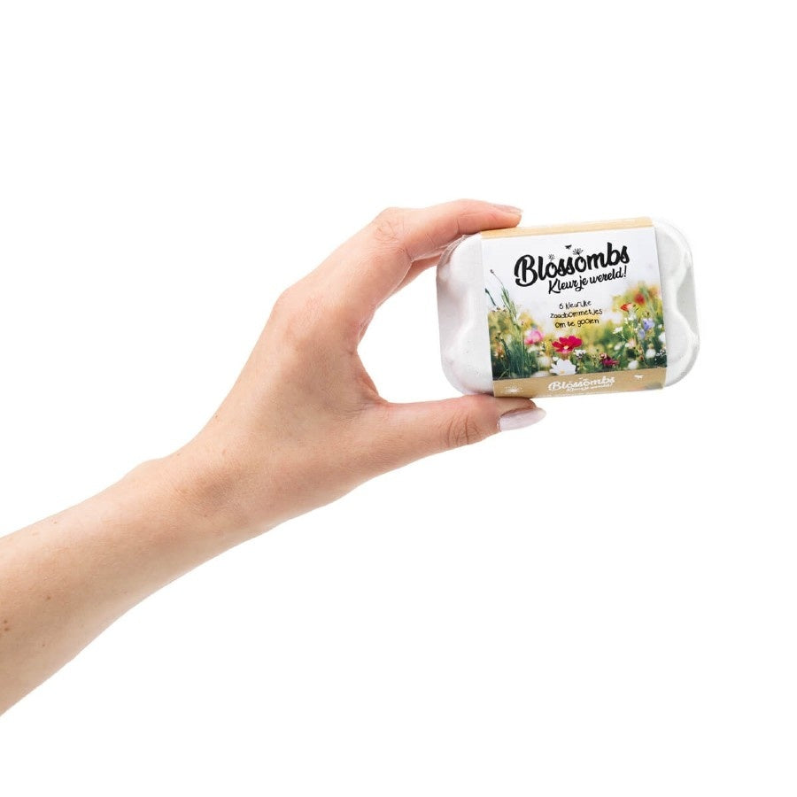 Blossombs Eggbox Saatgutkugeln - 6 Stück [de]