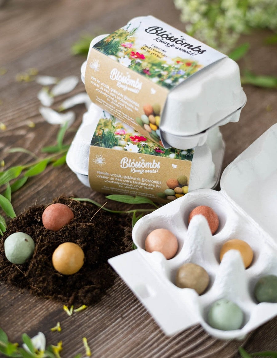 Blossombs Eggbox Saatgutkugeln - 6 Stück [de]