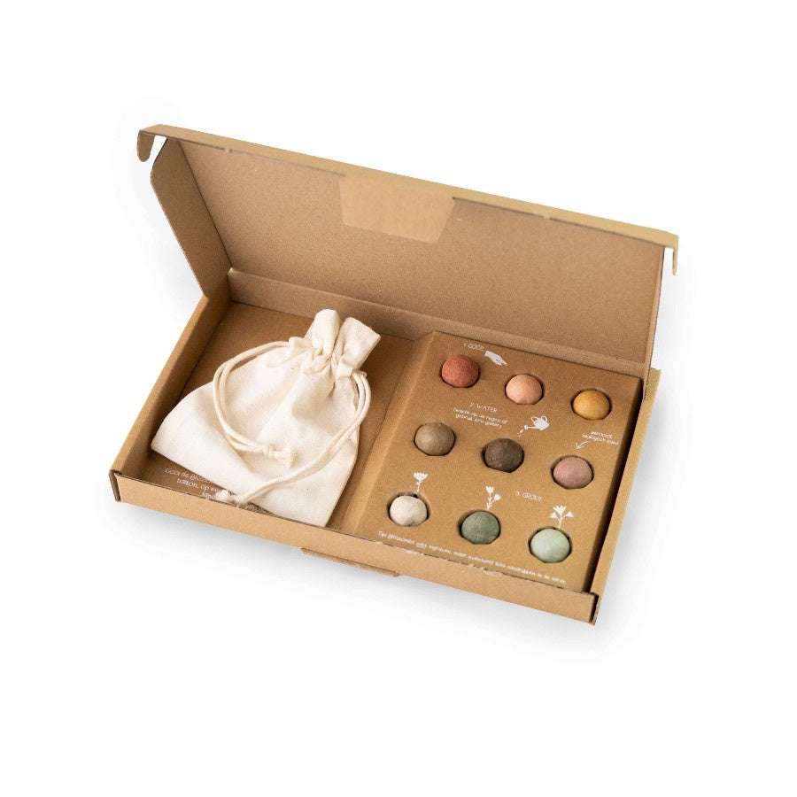 Blossombs Giftbox Large zaadbolletjes - 9 stuks [nl]