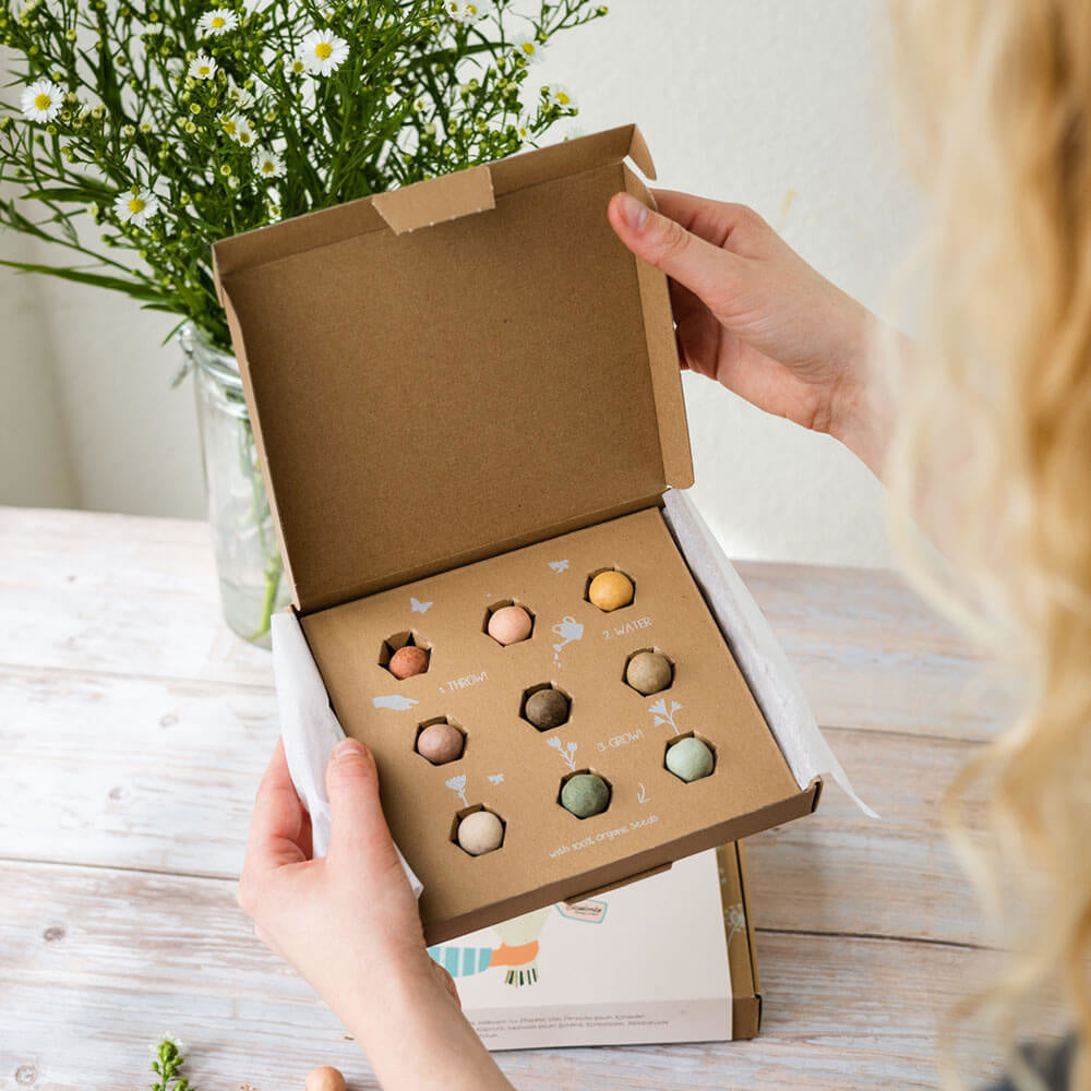 Blossombs Giftbox Medium 'Het is Lente' zaadbolletjes - 9 stuks [nl]