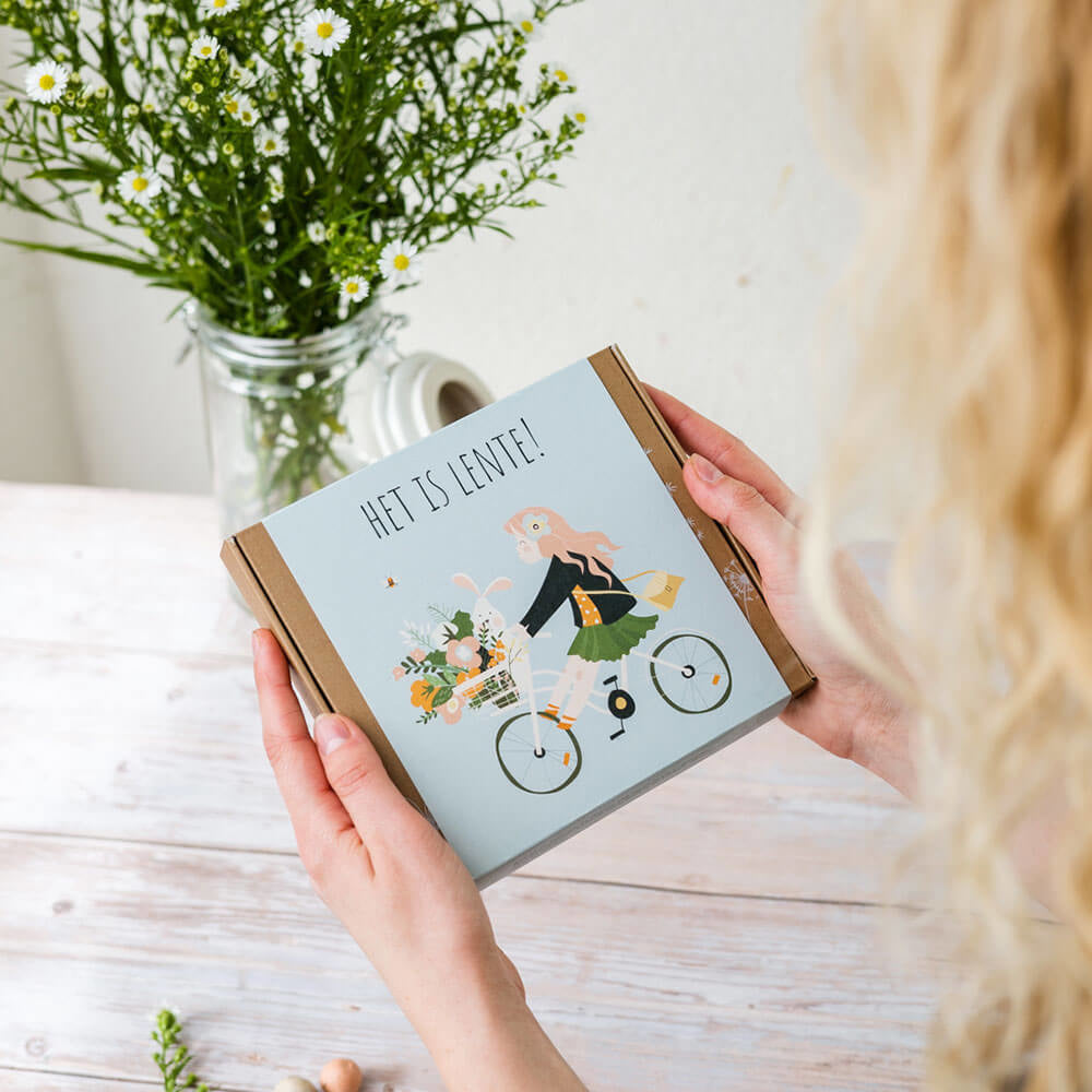 Blossombs Giftbox Medium 'Het is Lente' zaadbolletjes - 9 stuks [nl]