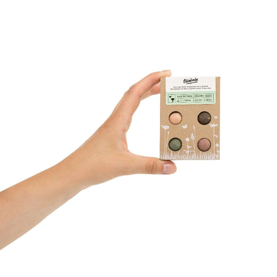 Blossombs Giftbox Mini Saatgutkugeln - 4 Stück [de]