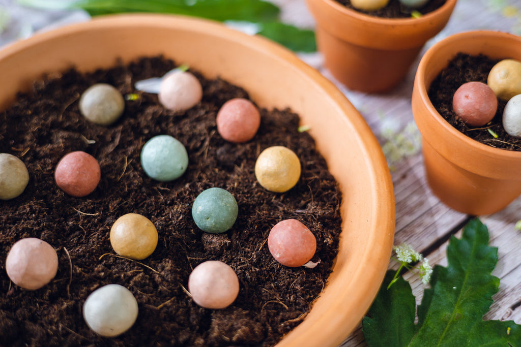 Blossombs Giftbox Small Saatgutkugeln - 7 Stück [de]