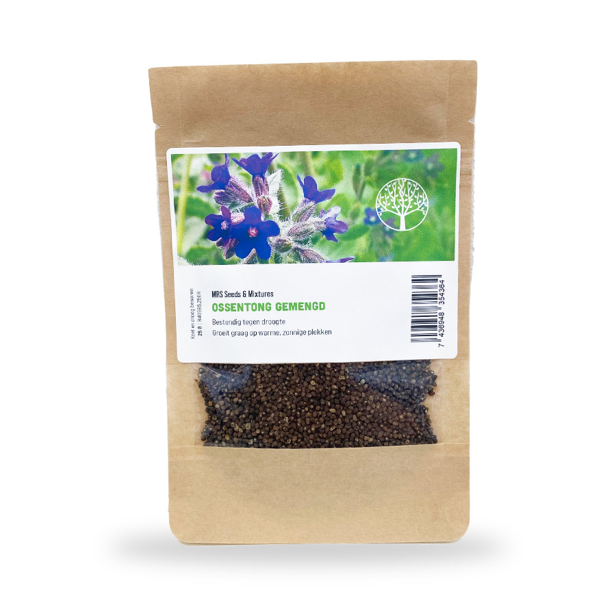 MRS Seeds & Mixtures Anchusa - Anchusa Capensis 'Dawn' [fr]