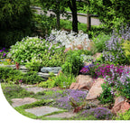 MRS Seeds & Mixtures M6 - Blühende Fugenmischung [de]