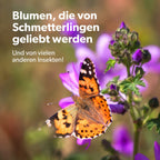 MRS Seeds & Mixtures Flower Bombs - Samenbomben mix - Vielen Dank! [de]