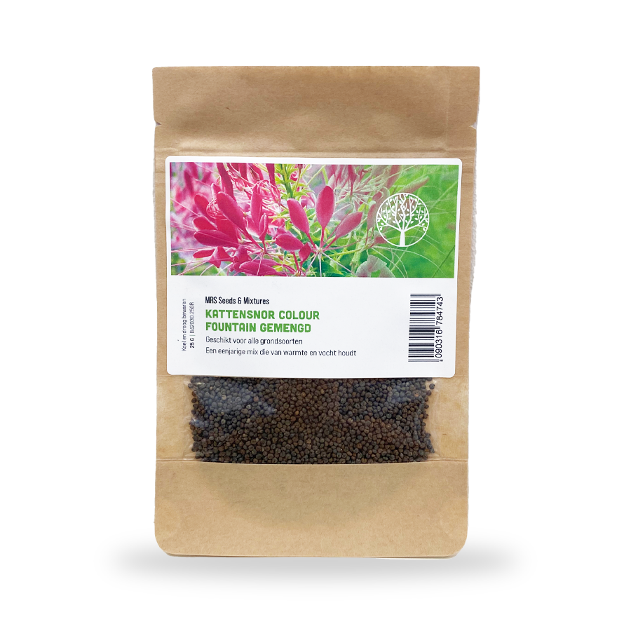 MRS Seeds & Mixtures Cleome Spinosa 'Colour Fountain' [fr]