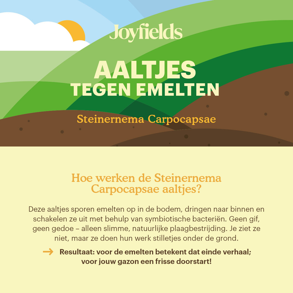 Joyfields Aaltjes tegen emelten (Steinernema carpocapsae) [nl]