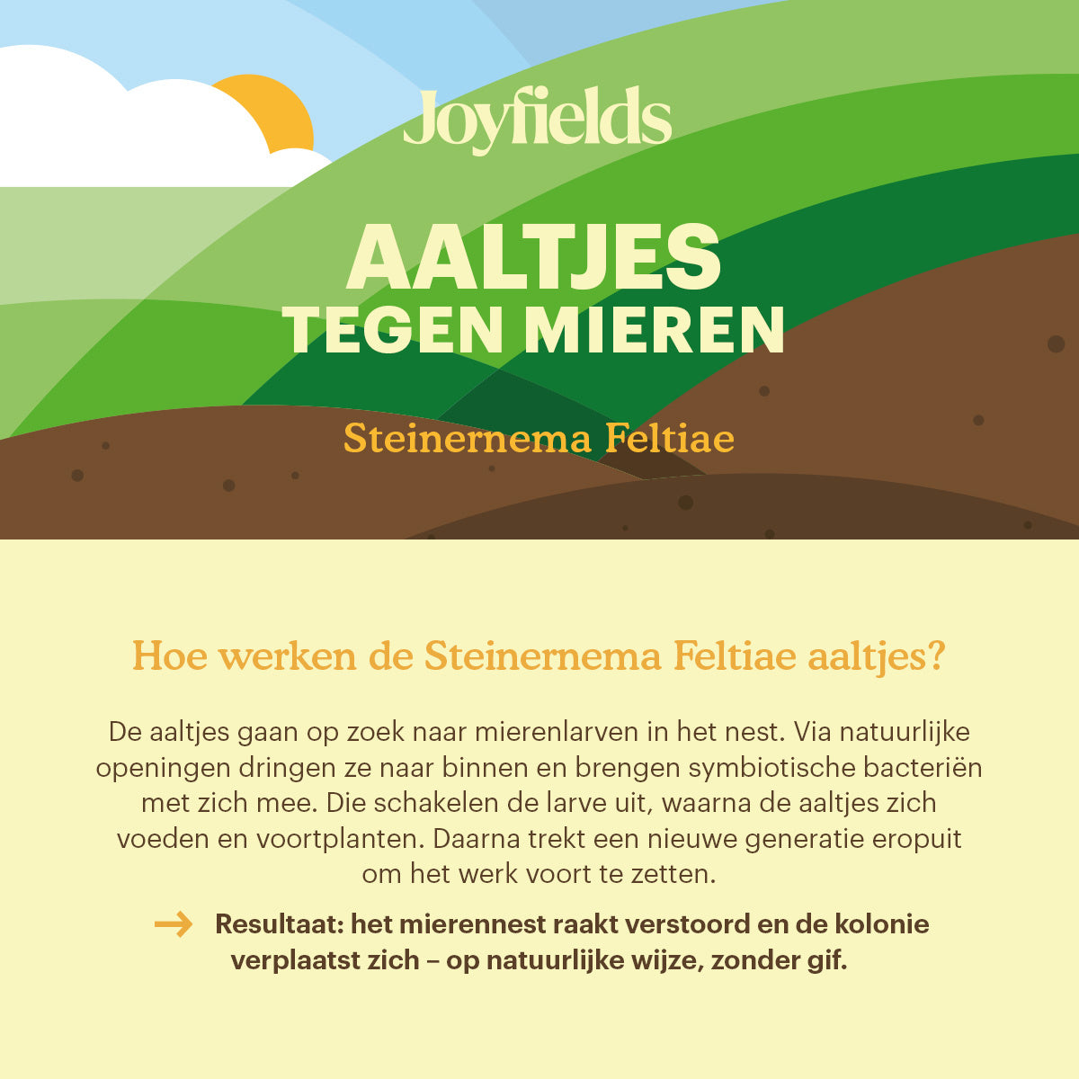 Joyfields Aaltjes tegen mieren (Steinernema feltiae) [nl]