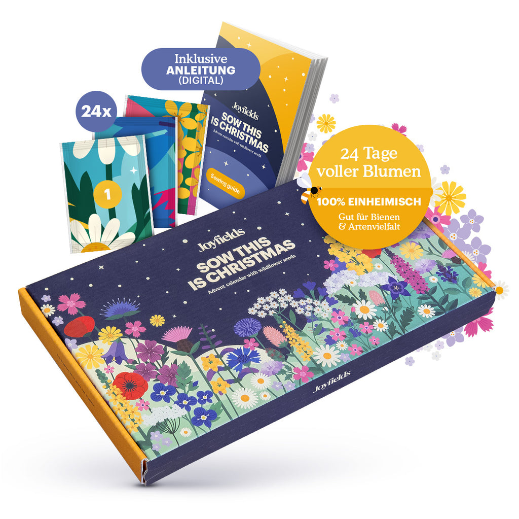 Joyfields Blumensamen-Adventskalender - Sow this is Christmas [de]