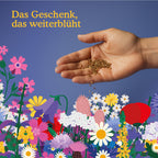Joyfields Blumensamen-Adventskalender - Sow this is Christmas [de]