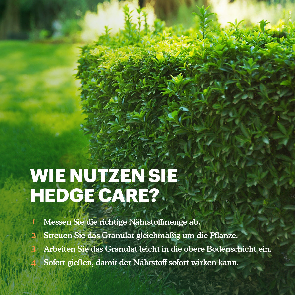 Hedge Care