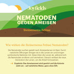 Joyfields Nematoden gegen Ameisen (Steinernema feltiae) [de]