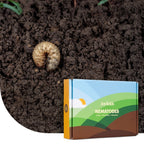 Joyfields Nematoden gegen Engerlinge (Heterorhabditis bacteriophora) [de]