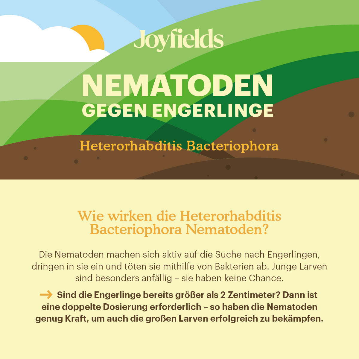 Joyfields Nematoden gegen Engerlinge (Heterorhabditis bacteriophora) [de]