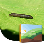 Joyfields Nematoden gegen Schnakenlarven (Steinernema carpocapsae) [de]