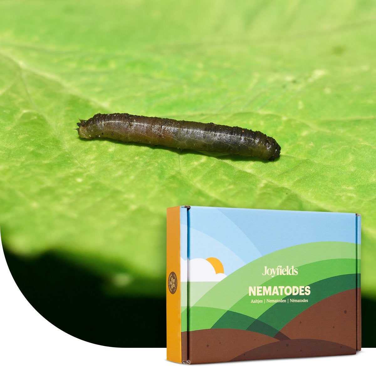 Joyfields Nematoden gegen Schnakenlarven (Steinernema carpocapsae) [de]