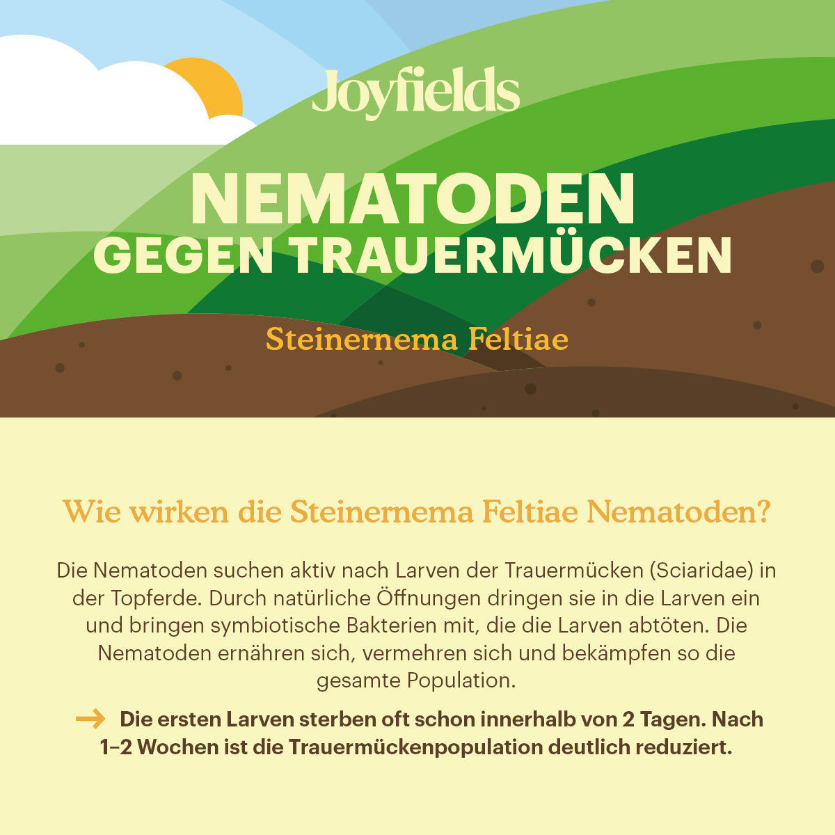 kegelförmiges zelt der samen kreuzworträtsel Kreuzkümmel