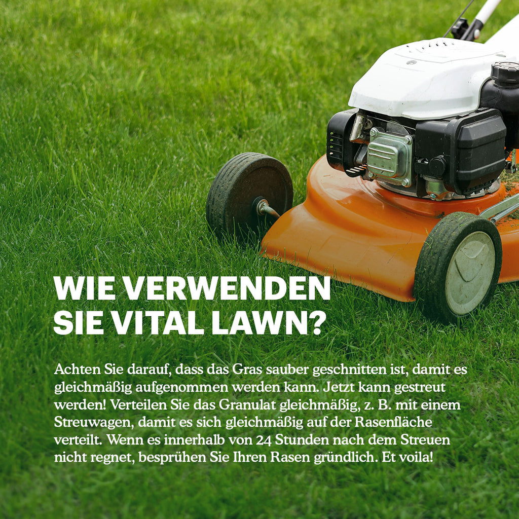 Joyfields Vital Lawn - Rasendünger mit Kalk [de]